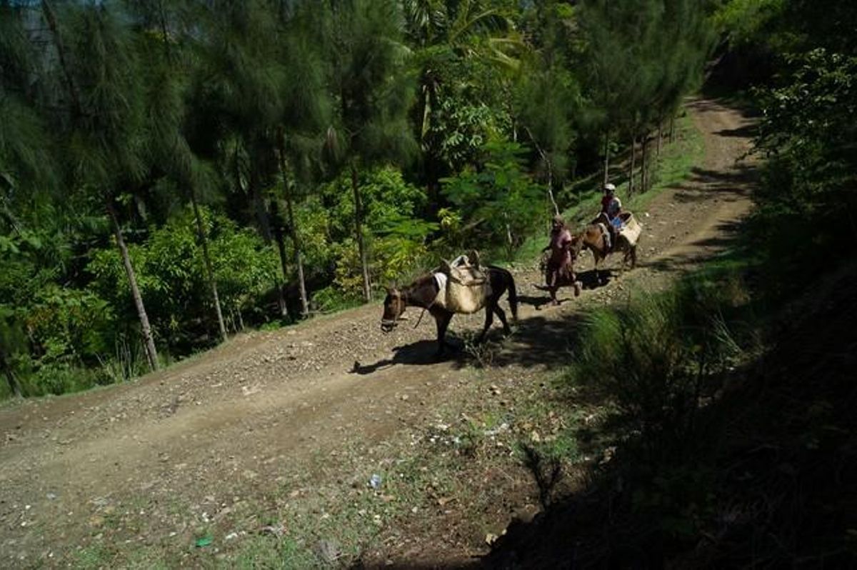 Camino de acceso a la comunidad rural de Lavial Camino de acceso a la comunidad rural de Lavial
