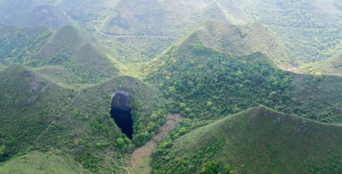 China halla un bosque de árboles gigantes a 290 metros de profundidad