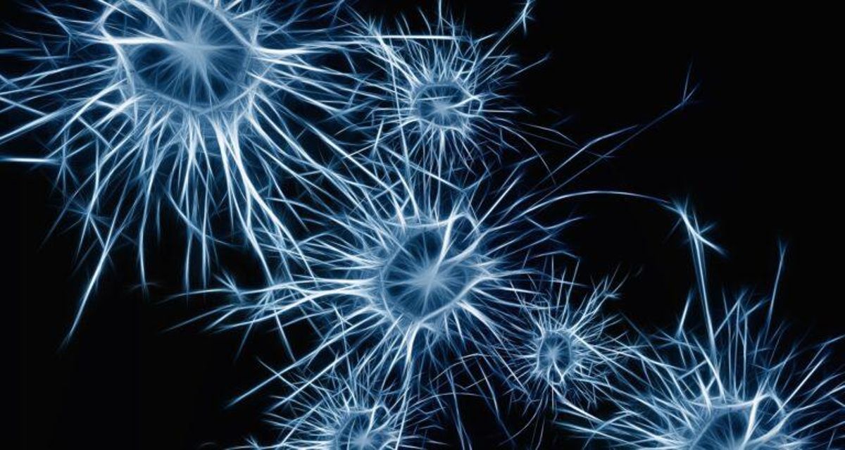 Consejos para que nuestro cerebro no note que cumplimos años, y no se haga viejo Consejos para que nuestro cerebro no note que cumplimos años, y no se haga viejo
