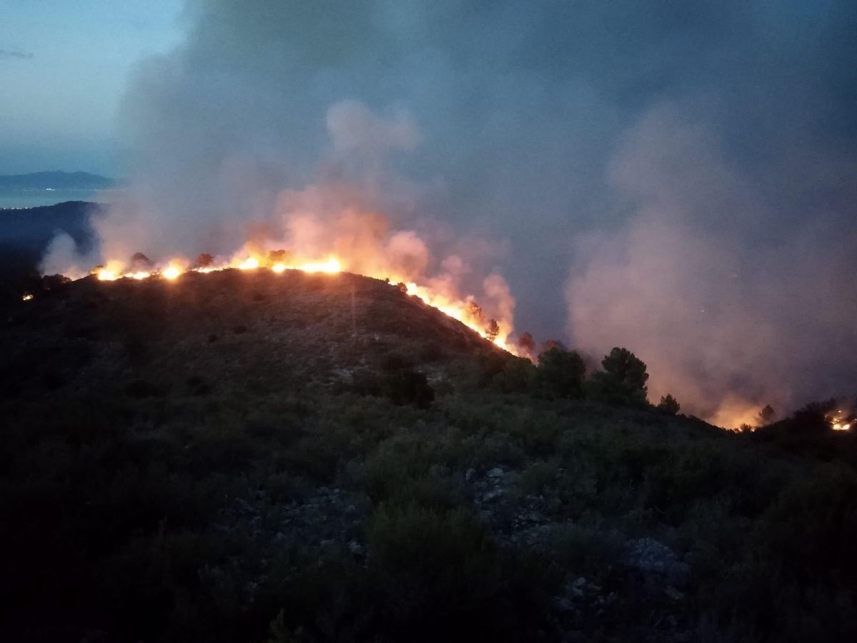 El incendio de Torroella de Montgrí, esta madrugada. El incendio de Torroella de Montgrí, esta madrugada.