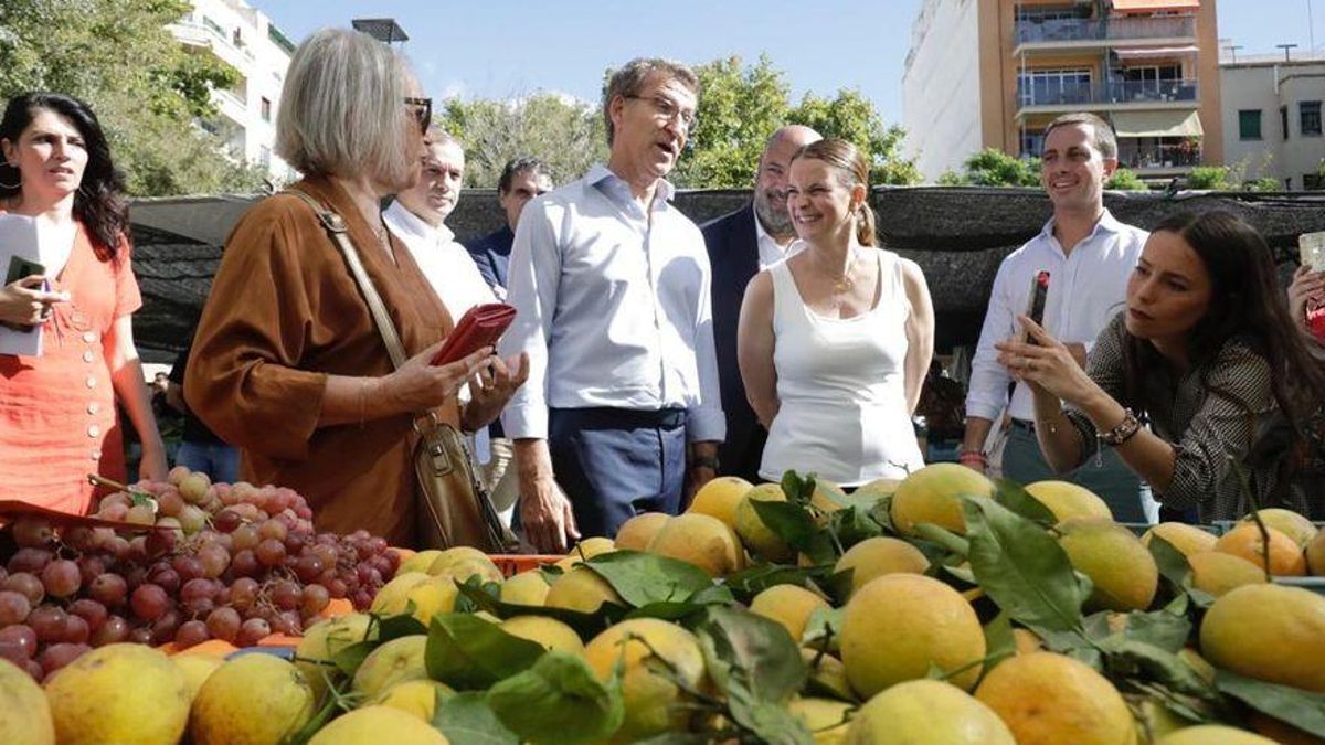 Feijóo reitera la necesidad de bajar los impuestos Feijóo reitera la necesidad de bajar los impuestos