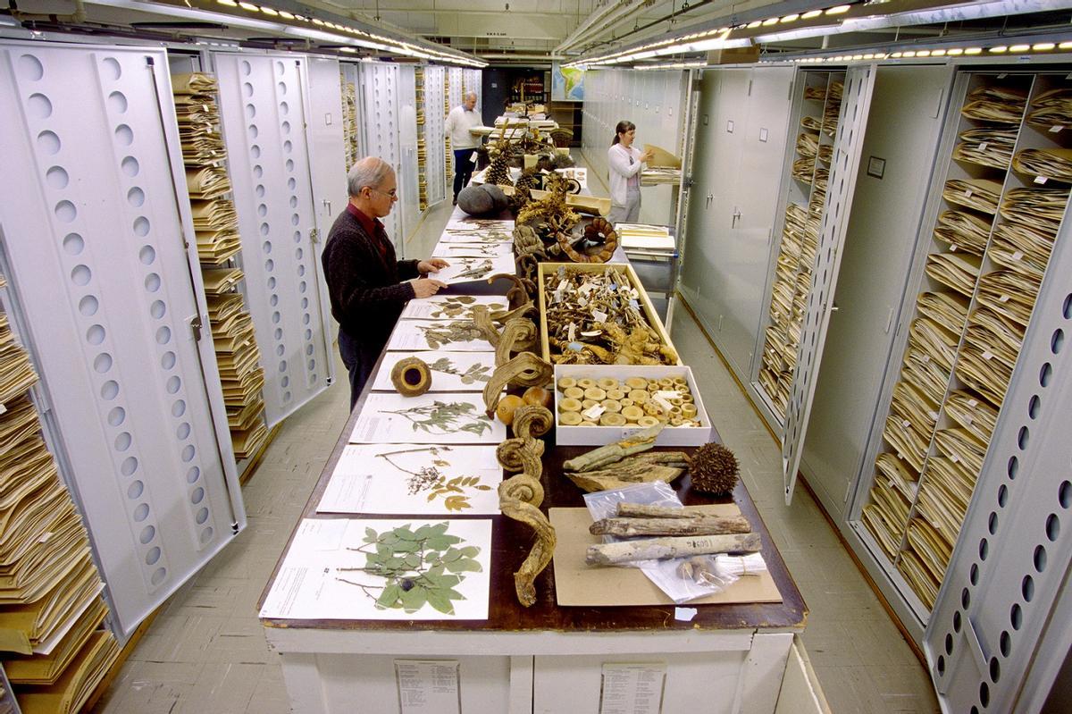 Urgen a crear un 'Arca de Noé' mundial para salvar la biodiversidad Urgen a crear un 'Arca de Noé' mundial para salvar la biodiversidad