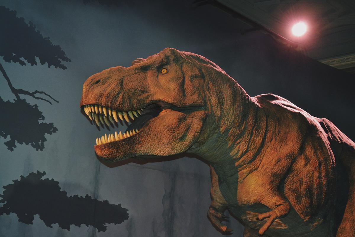 Nuevos primos de los T-rex agrandan la edad de los dinosaurios en África