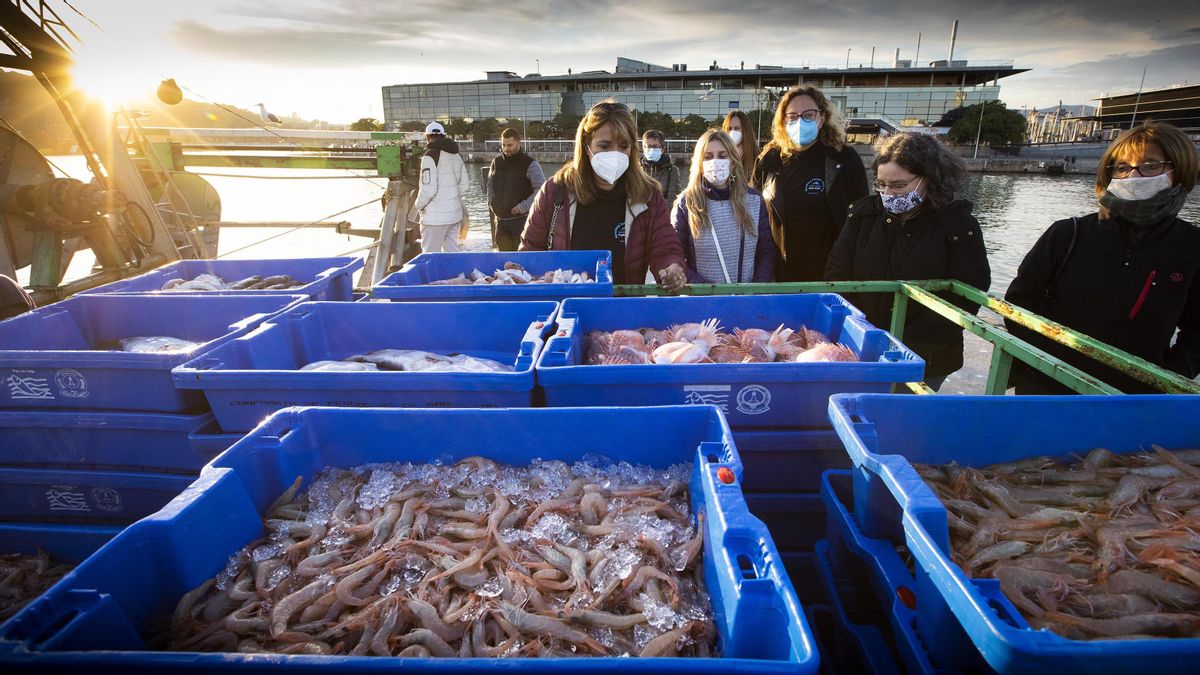 Un grupo de turistas inspeccionan los pescados recién llegados al muelle, durante una visita guiada de ’El Peix al Plat’. Un grupo de turistas inspeccionan los pescados recién llegados al muelle, durante una visita guiada de ’El Peix al Plat’.