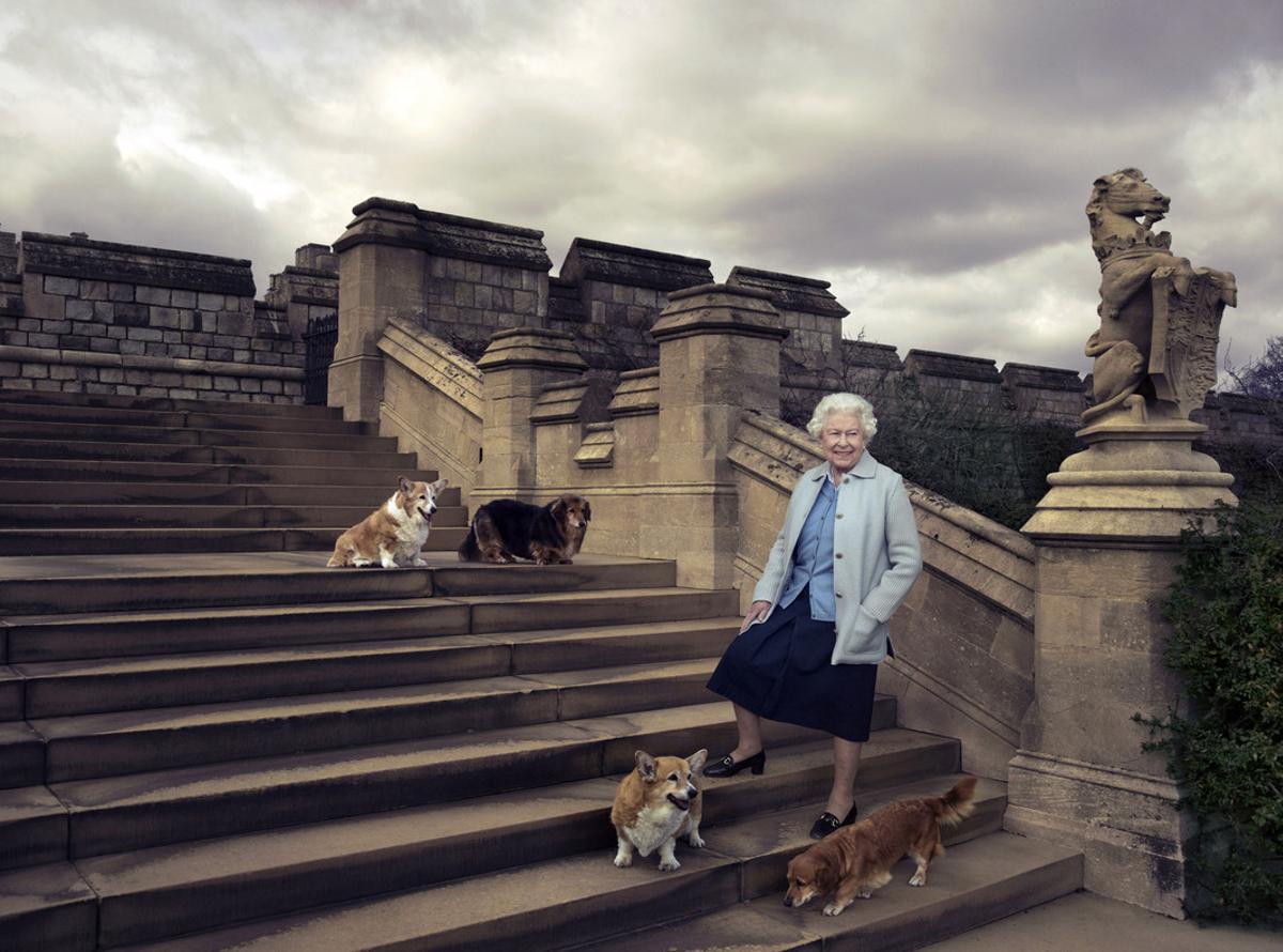 La reina, en los jardines de Windsor, con cuatro de sus perros.
