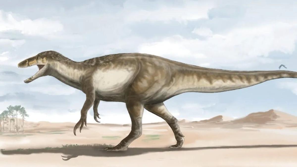 Descubren en Argentina los restos de uno de los últimos dinosaurios  carnívoros