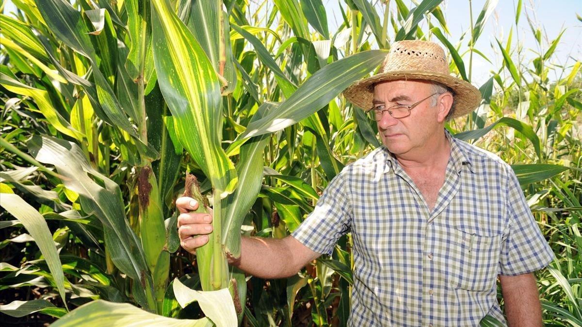 El agricultor Josep Pàmies, en una foto de archivo.