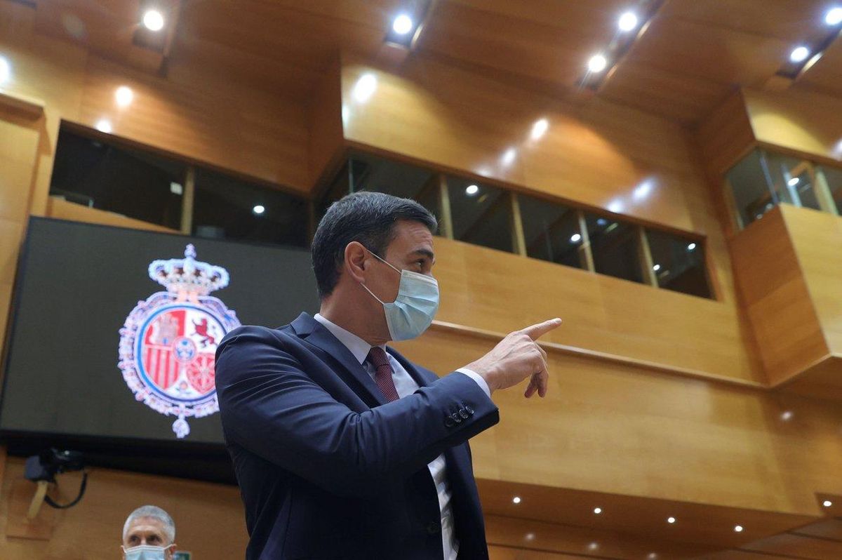El presidente del Gobierno, Pedro Sánchez, asiste a la sesión de control del pasado 16 de junio en el Senado. El presidente del Gobierno, Pedro Sánchez, asiste a la sesión de control del pasado 16 de junio en el Senado.