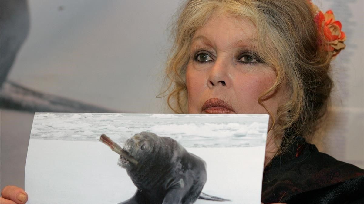 La actriz Brigitte Bardot enseñando una imagen donde una foca se come un bebé. La actriz Brigitte Bardot enseñando una imagen donde una foca se come un bebé.
