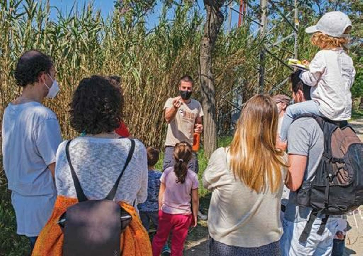 Un grupo de familias de Cornellà celebran la semana de la naturaleza Un grupo de familias de Cornellà celebran la semana de la naturaleza