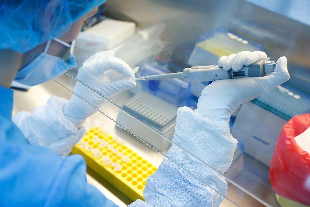 Investigación de una vacuna contra el covid en un laboratorio de San Petersburgo. Investigación de una vacuna contra el covid en un laboratorio de San Petersburgo.