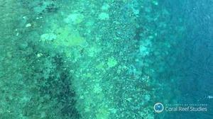 Análisis aéreo de la barrera de coral del noreste de Australia efectuado por investigadores de la James Cook University.