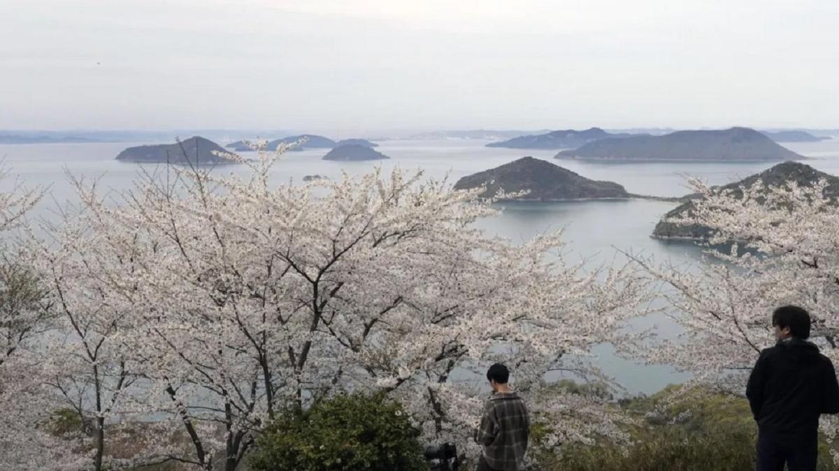 Japón 'descubre' 7.000 islas que ignoraba tener