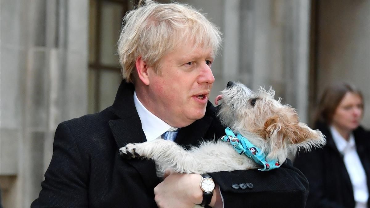 Boris Johnson, con su perro Dilyn tras votar en las elecciones generales del Reino Unido, en 2019. Boris Johnson, con su perro Dilyn tras votar en las elecciones generales del Reino Unido, en 2019.