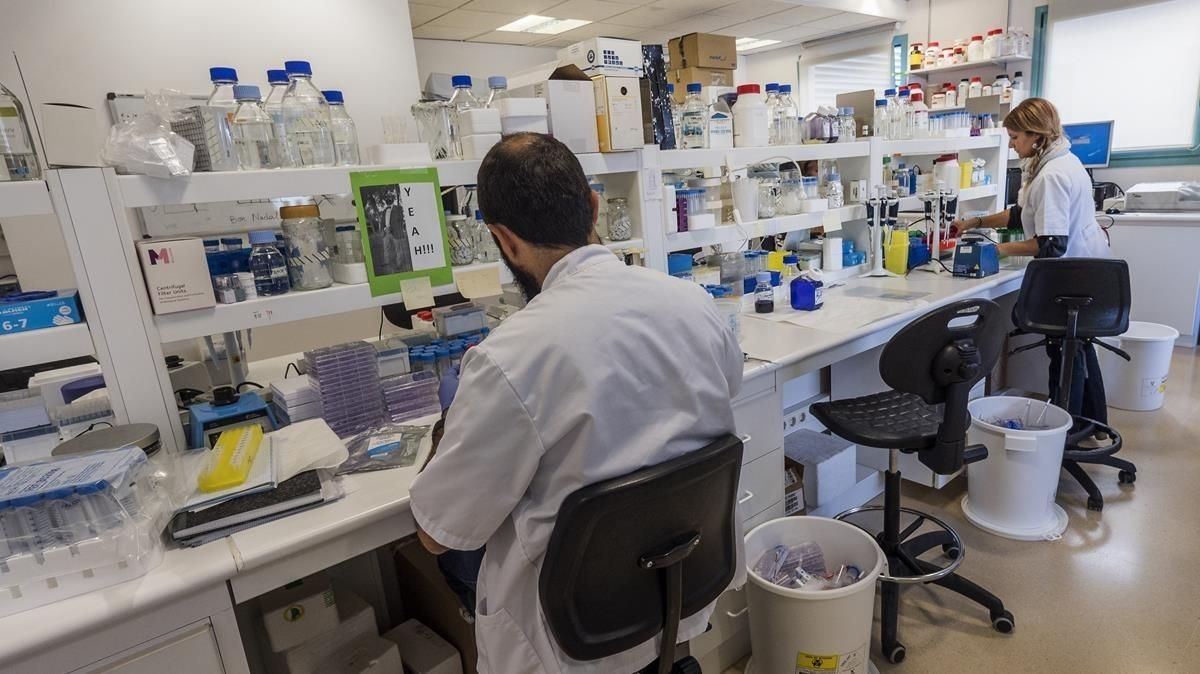 El laboratorio de neurooncología pediátrica de Sant Joan de Déu. El laboratorio de neurooncología pediátrica de Sant Joan de Déu.