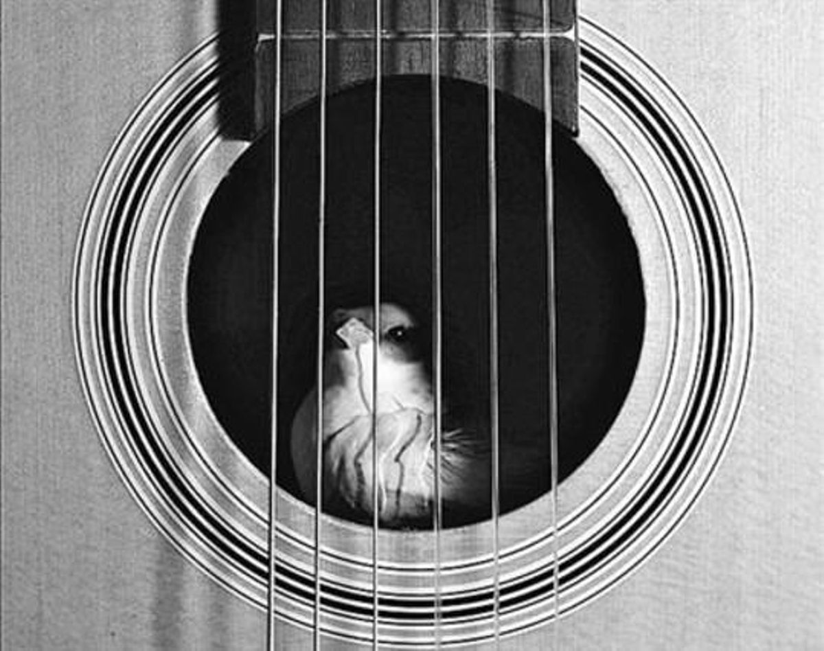 El corazón entre dos aguas El corazón entre dos aguas