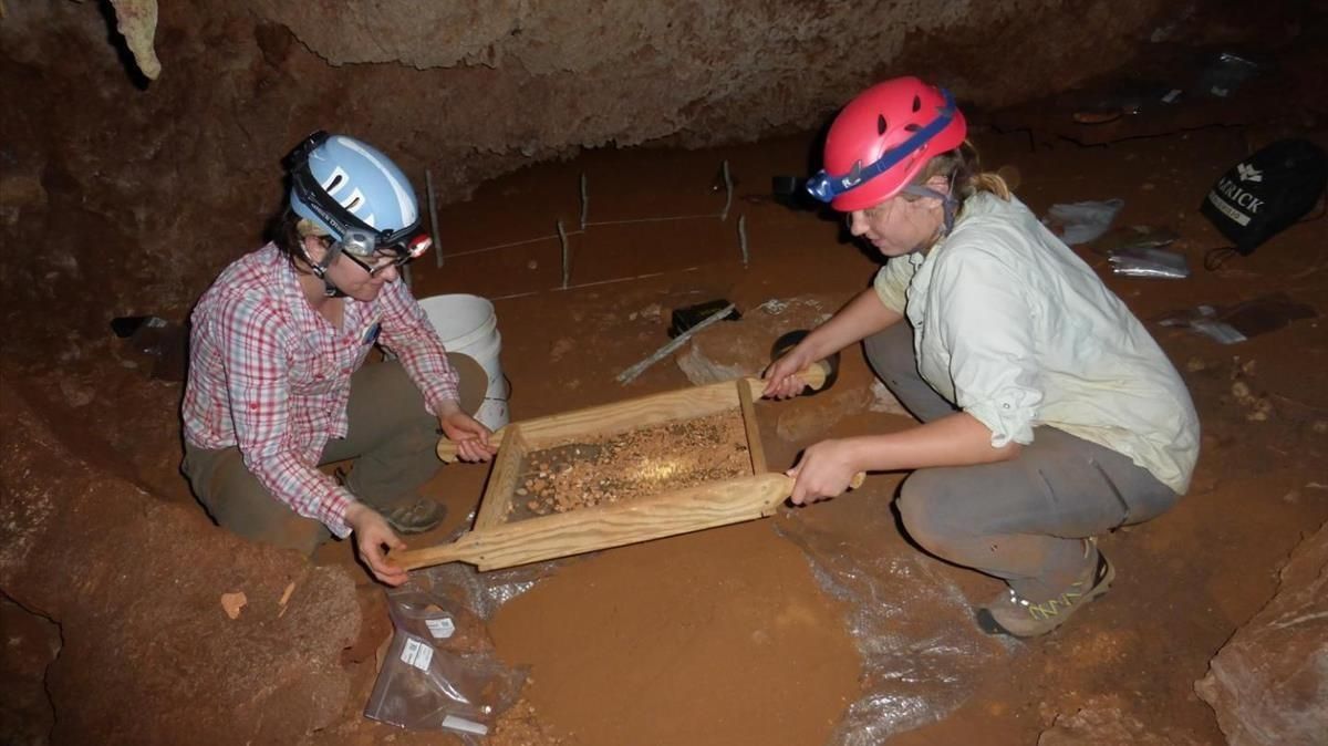 La paleontóloga Siobhan Cooke y su colega Alexis Mychajliw, ambos de la Universidad Johns Hopkins, recolectan fósiles para su datación en una cueva del Caribe. La paleontóloga Siobhan Cooke y su colega Alexis Mychajliw, ambos de la Universidad Johns Hopkins, recolectan fósiles para su datación en una cueva del Caribe.