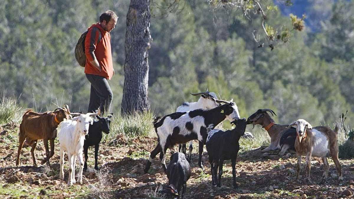 L’ofici més solitari esquiva la pandèmia L’ofici més solitari esquiva la pandèmia