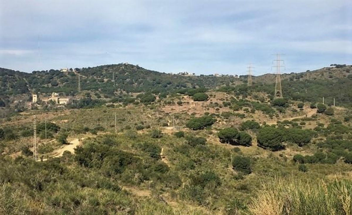 Badalona aplica restriccions al medi natural per evitar incendis durant l’onada de calor Badalona aplica restriccions al medi natural per evitar incendis durant l’onada de calor