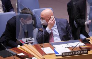 El embajador de Rusia ante la ONU, Vasily Nebenzya, durante la reunión este lunes del Consejo de Seguridad.