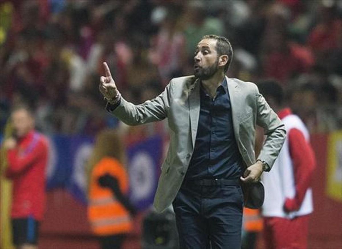 Pablo Machín. Pablo Machín.