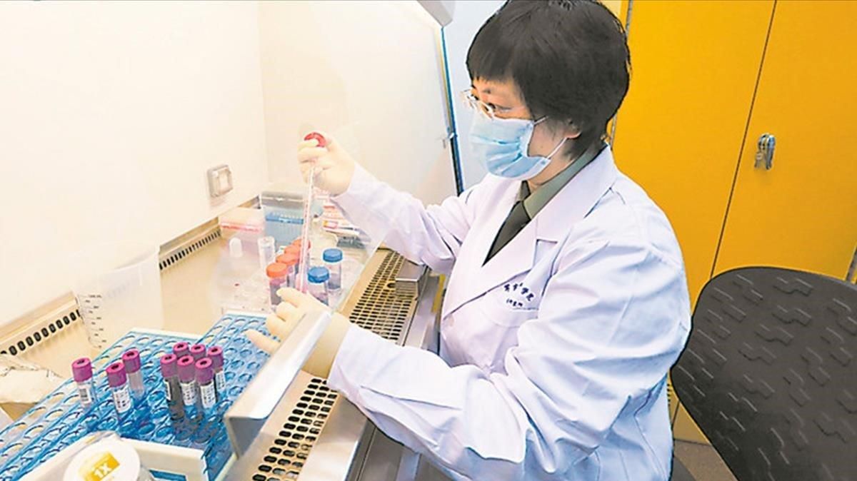 La epidemióloga china Chen Wei, trabajando en su laboratorio. La epidemióloga china Chen Wei, trabajando en su laboratorio.