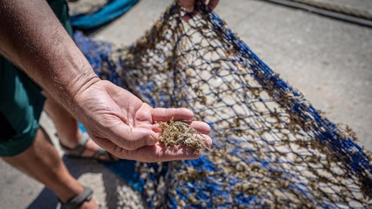 Els pescadors de la Barceloneta responen: «Fa més de 40 anys que recollim porqueria»