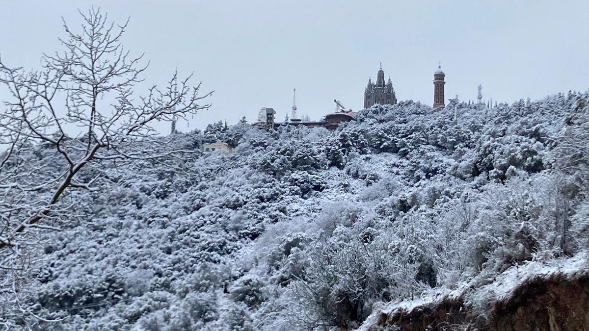 Nieve en Barcelona así ha amanecido Collserola hoy