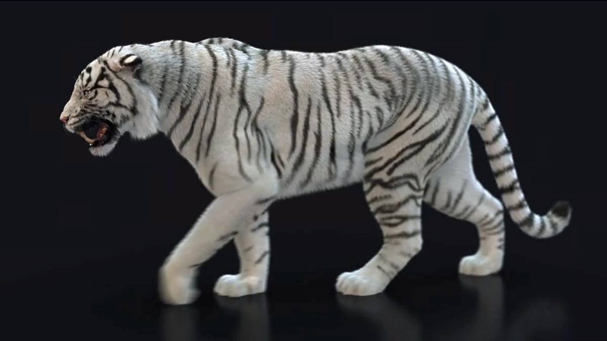 Uno de los tigres blancos virtuales que se paseará por el safari. 