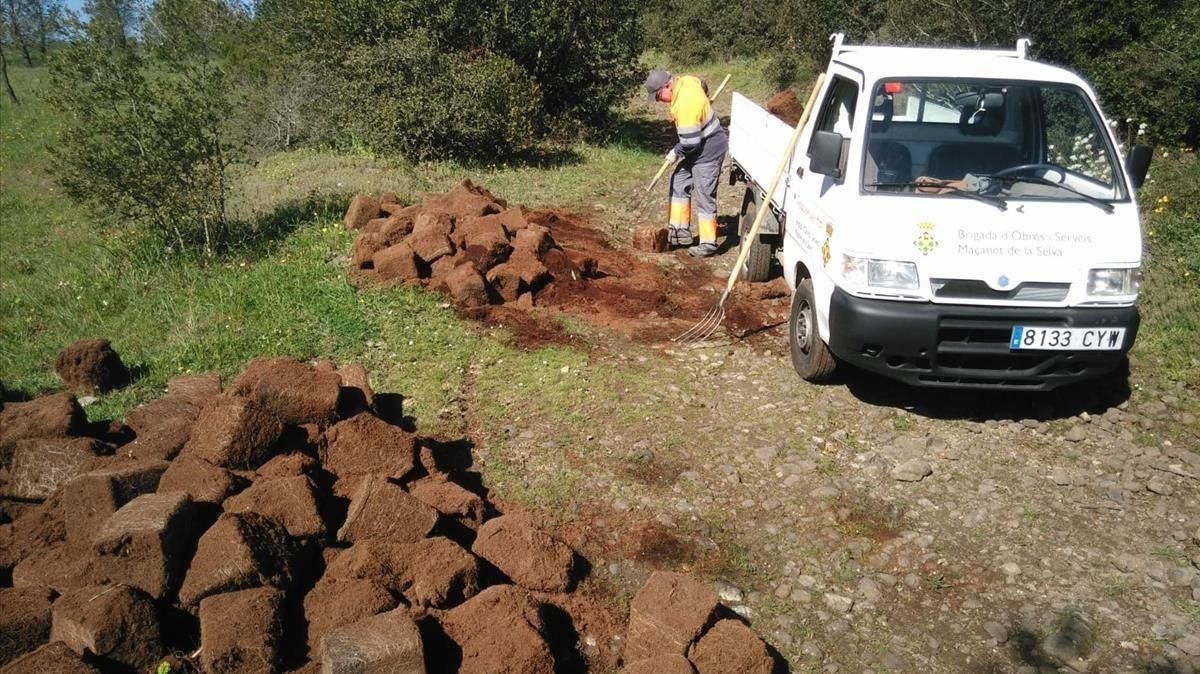 Terrones en los que se había cultivado marihuana que fueron abandonados la semana pasada en un bosque de Maçanet de la Selva. Terrones en los que se había cultivado marihuana que fueron abandonados la semana pasada en un bosque de Maçanet de la Selva.