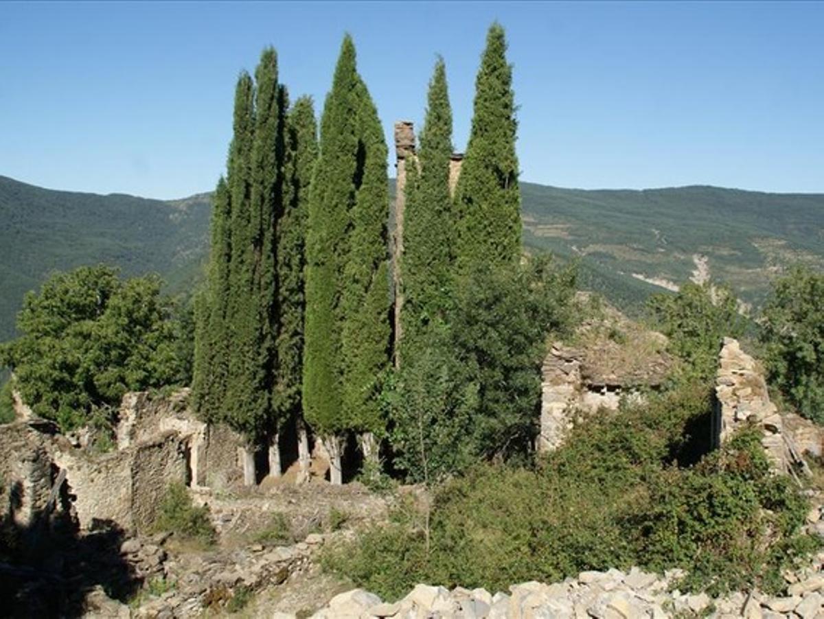 Cipreses y piedras. Los planes de repoblación forestal del franquismo condenaron a la despoblación a numerosos pueblos del Pirineo aragonés.