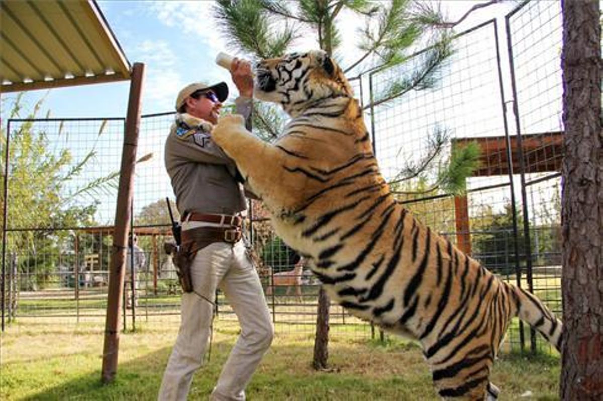Donald Trump nega l’indult al ‘Tiger King’ Joe Exotic Donald Trump nega l’indult al ‘Tiger King’ Joe Exotic