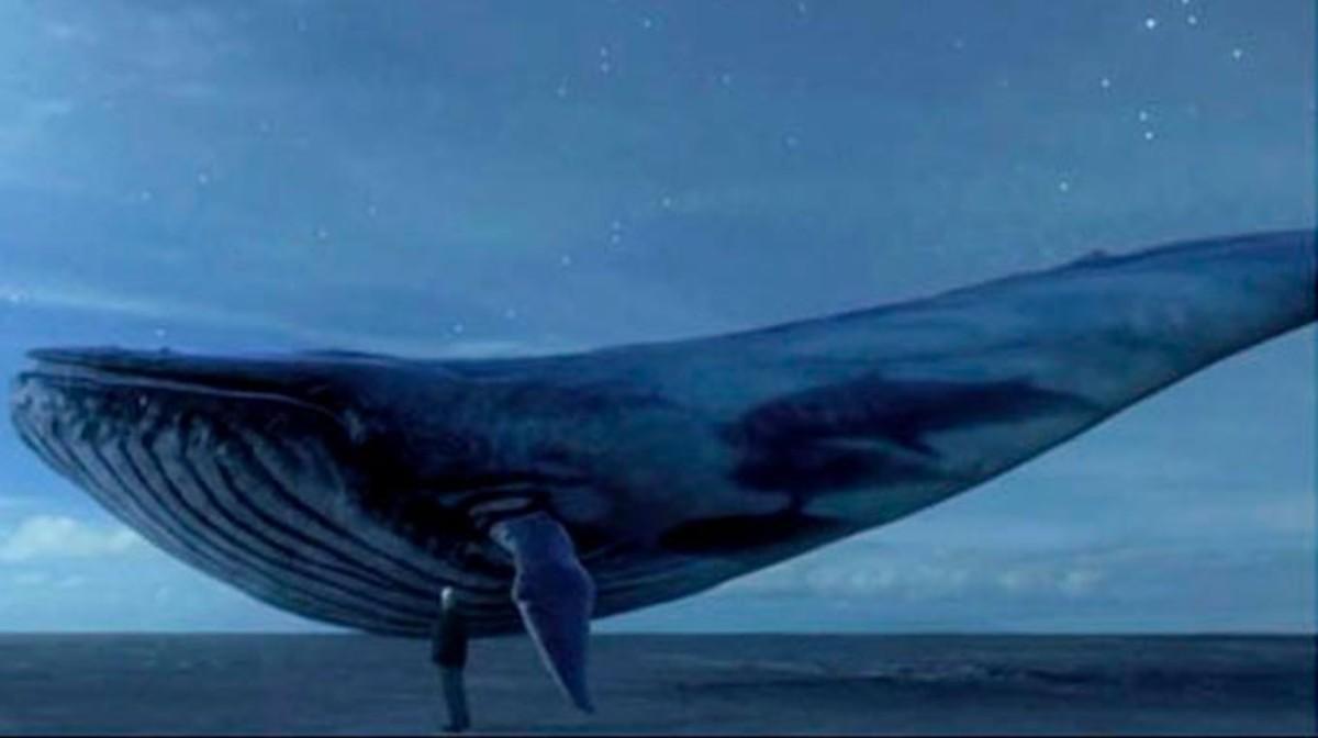 La imagen de una ballena azul que aparece en las cuentas de Facebook o Instagram de algunos participantes en el reto suicida.