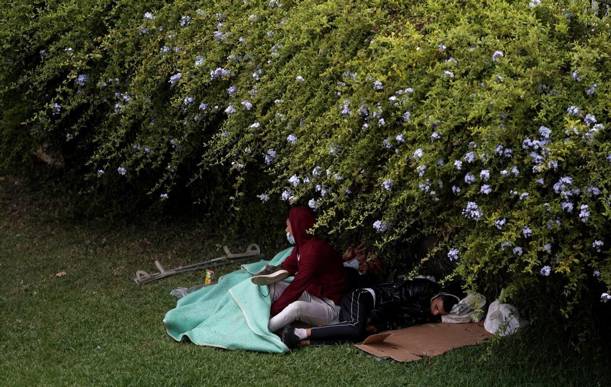 Niños migrantes duermen bajo un seto en un parque de Ceuta. Niños migrantes duermen bajo un seto en un parque de Ceuta.