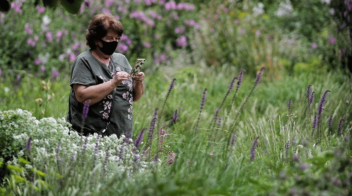 Una mujer protegida con mascarilla mira su teléfono móvil el segundo día de la reapertura del Real Jardín Botánico de Madrid, el 26 de mayo. Una mujer protegida con mascarilla mira su teléfono móvil el segundo día de la reapertura del Real Jardín Botánico de Madrid, el 26 de mayo.