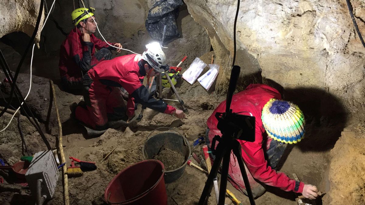 Excavación en la gruta italiana de Guattari, en Italia, donde se han hallado nueve homínidos neandertales. Excavación en la gruta italiana de Guattari, en Italia, donde se han hallado nueve homínidos neandertales.
