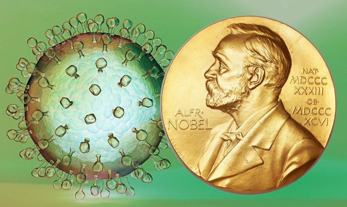 L'eliminació d'un virus L'eliminació d'un virus