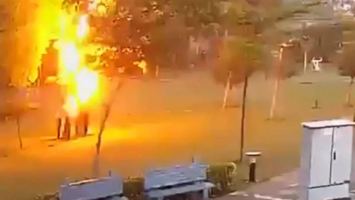Imágenes del momento en que el rayo impacta en el árbol en que los hombres se refugiaban. Imágenes del momento en que el rayo impacta en el árbol en que los hombres se refugiaban.