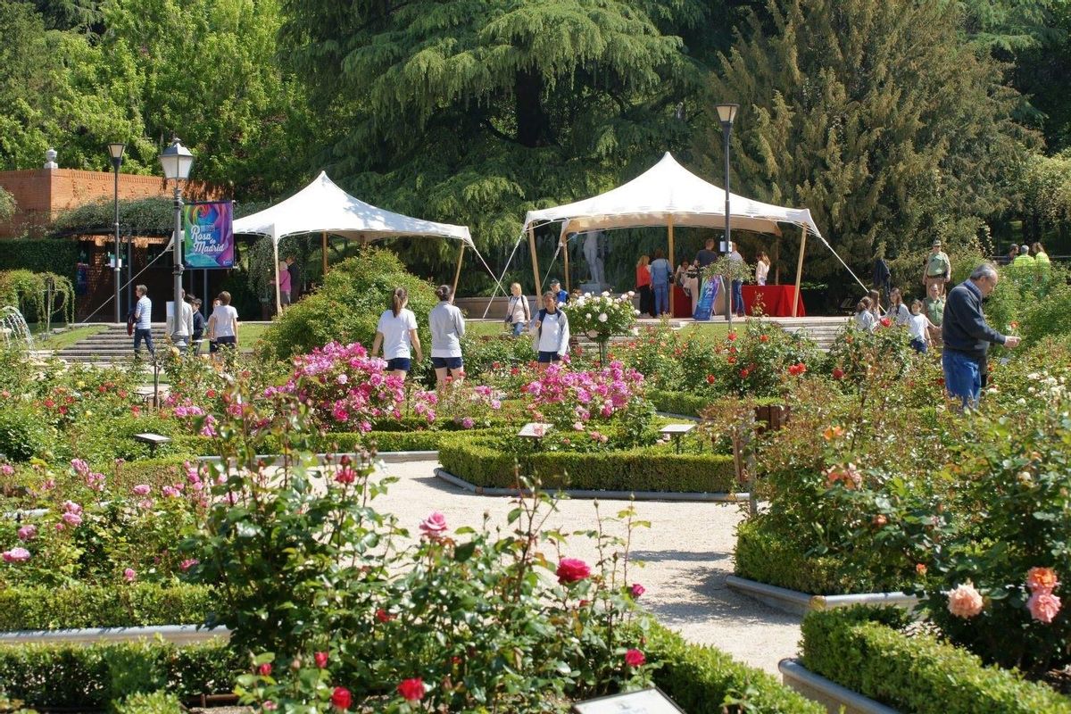 Una imagen de archivo del Parque del Oeste en Madrid. Una imagen de archivo del Parque del Oeste en Madrid.