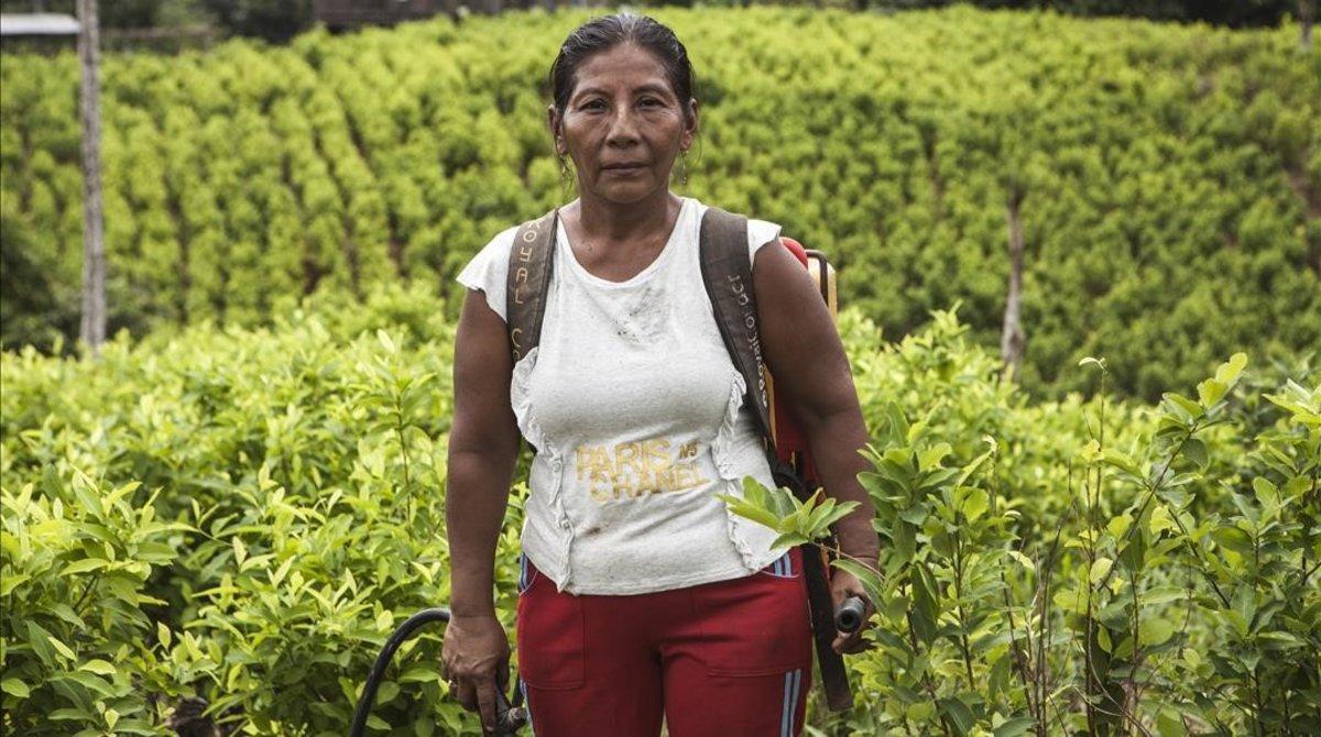 La vida silenciada de las mujeres cultivadoras de coca