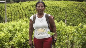 La vida silenciada de las mujeres cultivadoras de coca