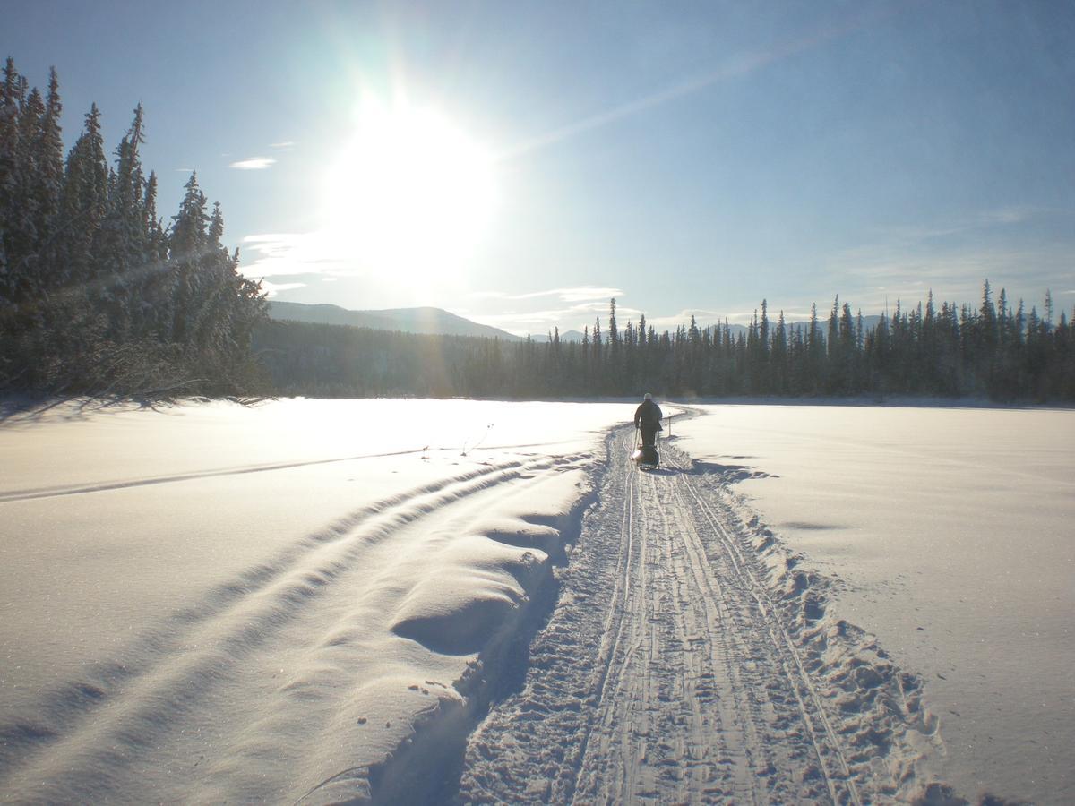 Paisaje nevado en el territorio del Yukón, en Canadá. 