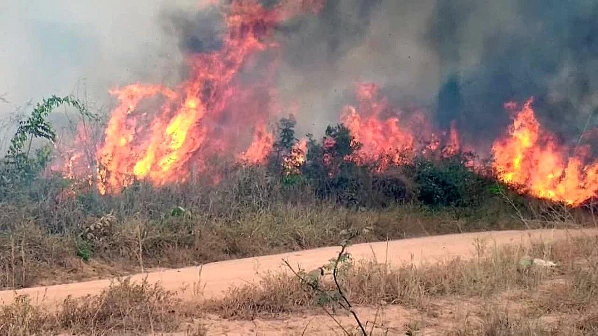 Las ONG achacan los incendios en la Amazonía a la retórica de Bolsonaro.