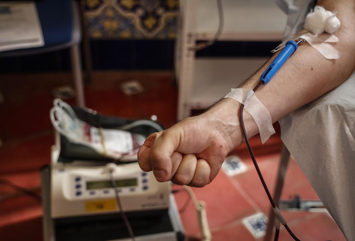 Mollet acollirà una nova campanya de donació de sang el 2 de desembre