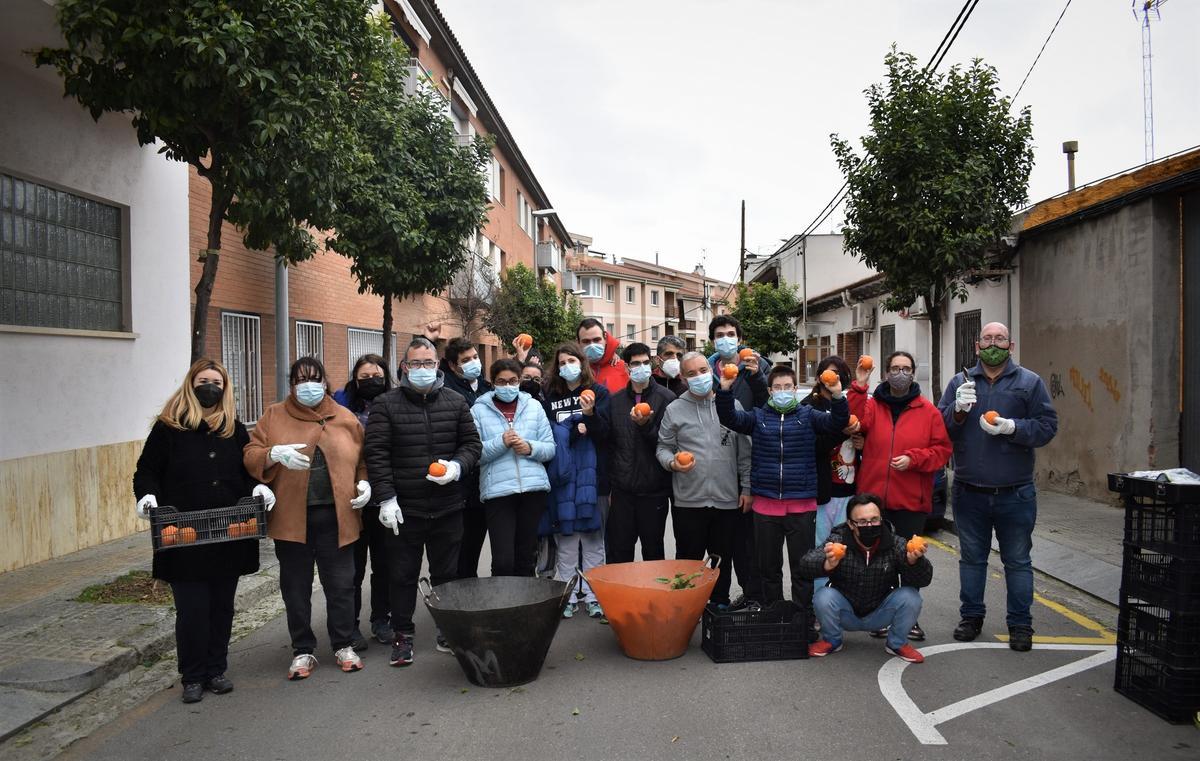 Voluntarios recogiendo naranjas en Mollet del Vallès para producir mermelada.
