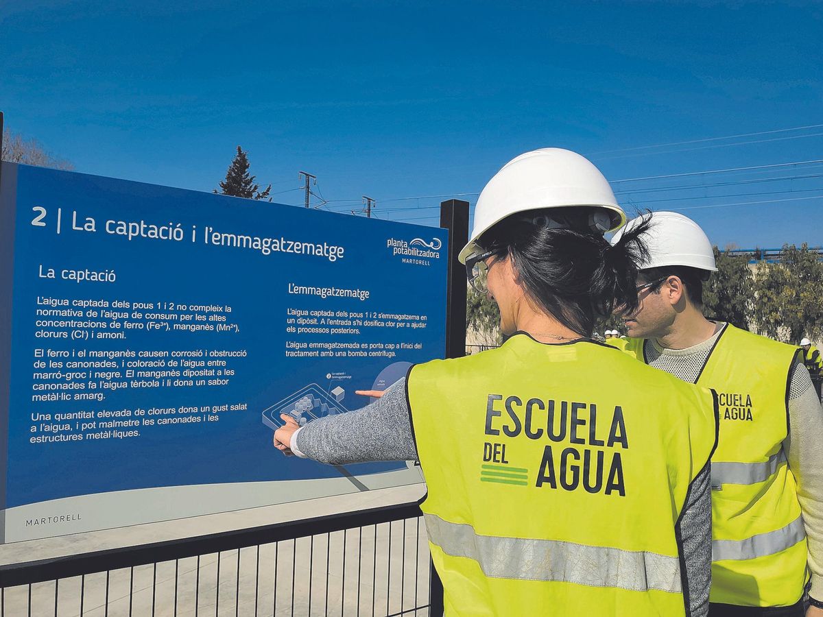 Capacidades azules para la transformación verde Capacidades azules para la transformación verde