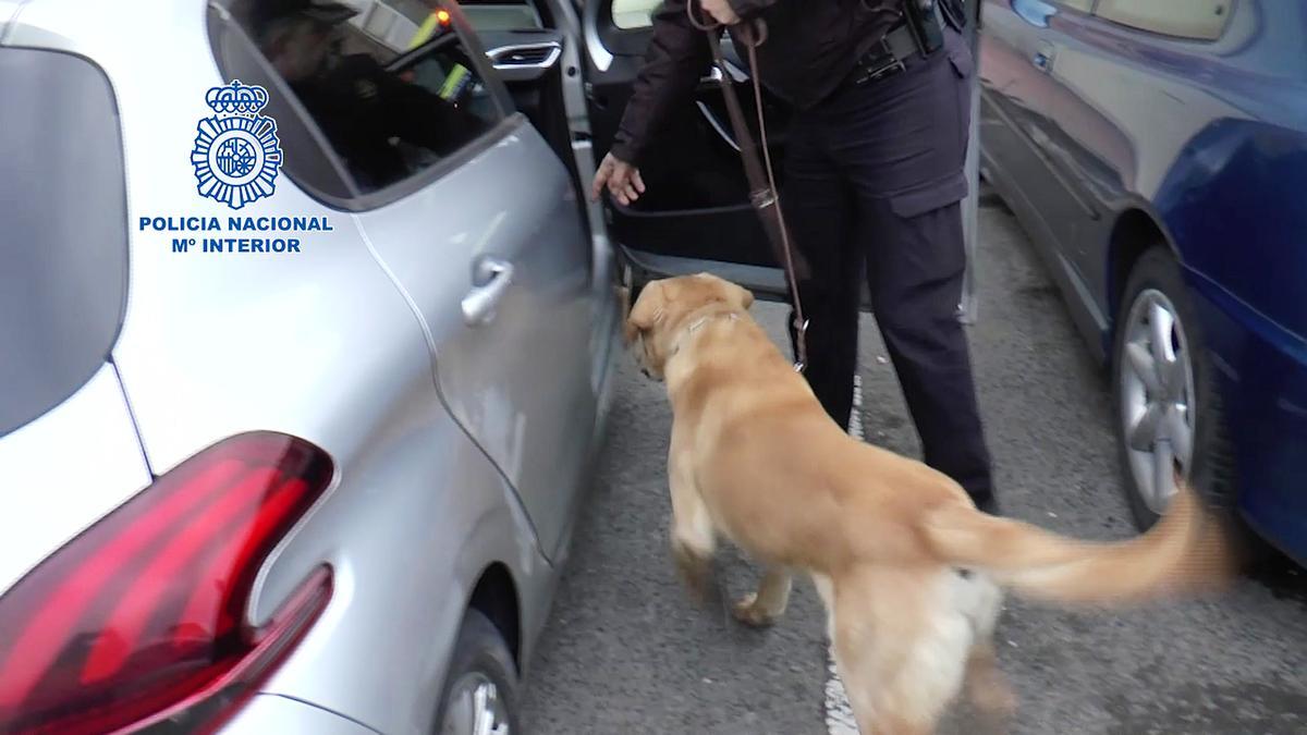 Detenido un jubilado de 74 años en Burgos como presunto autor de las cartas bomba