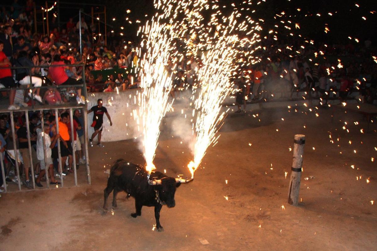 Un toro ’embolat’, durante las fiestas de Masdenverge, en el Montsià.