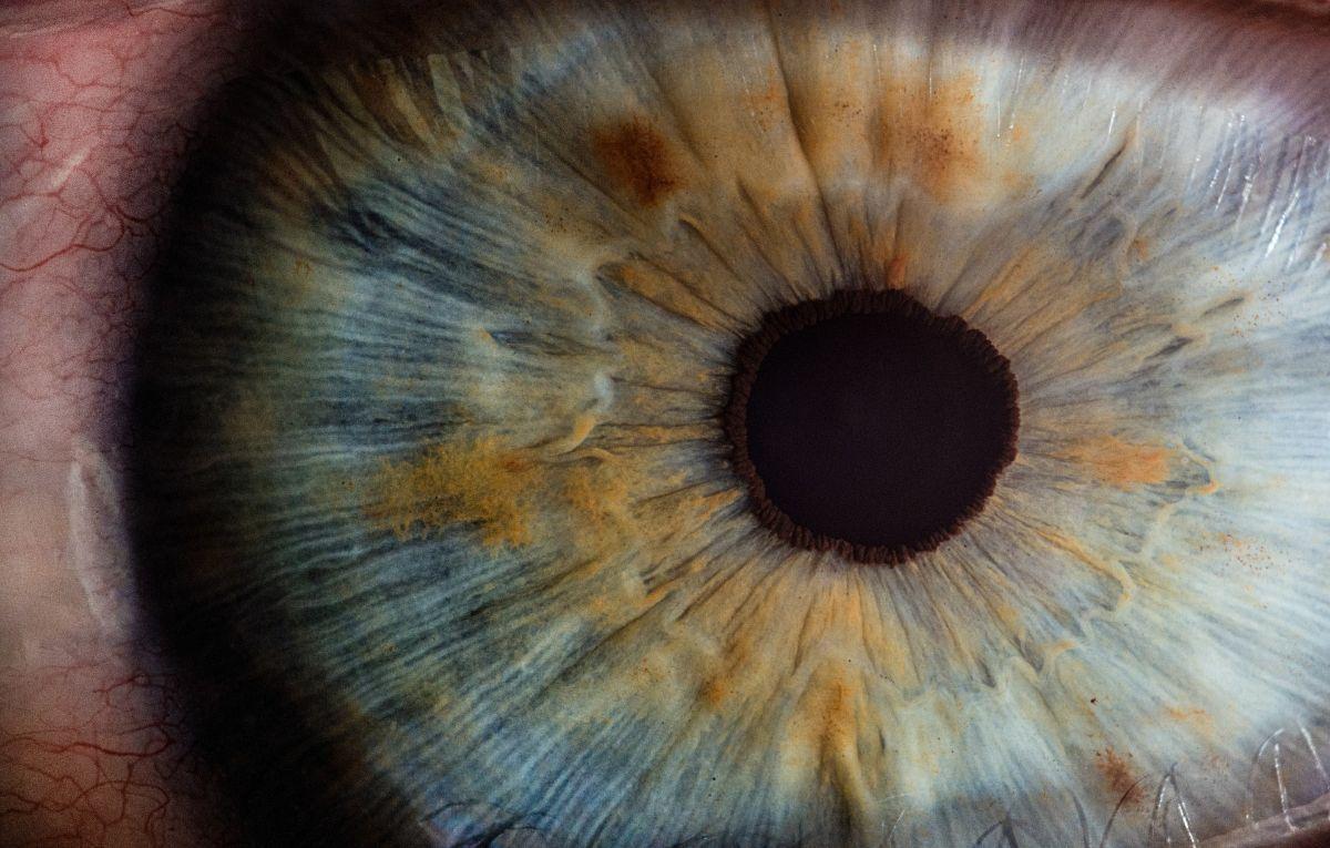 Los ojos humanos pueden ser inmortales