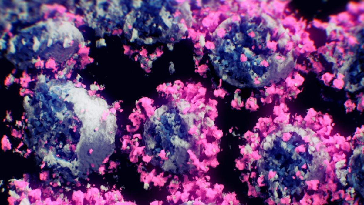 Primera imagen real del virus del covid en 3D